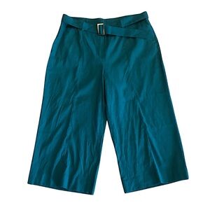 J. Jill Linen Stretch Pull On Belted Wide Leg Peacock Pants XL Petite